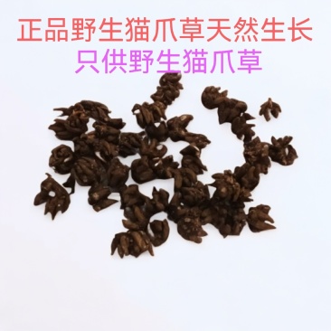 野生猫爪草，精细挑选，欢迎选购