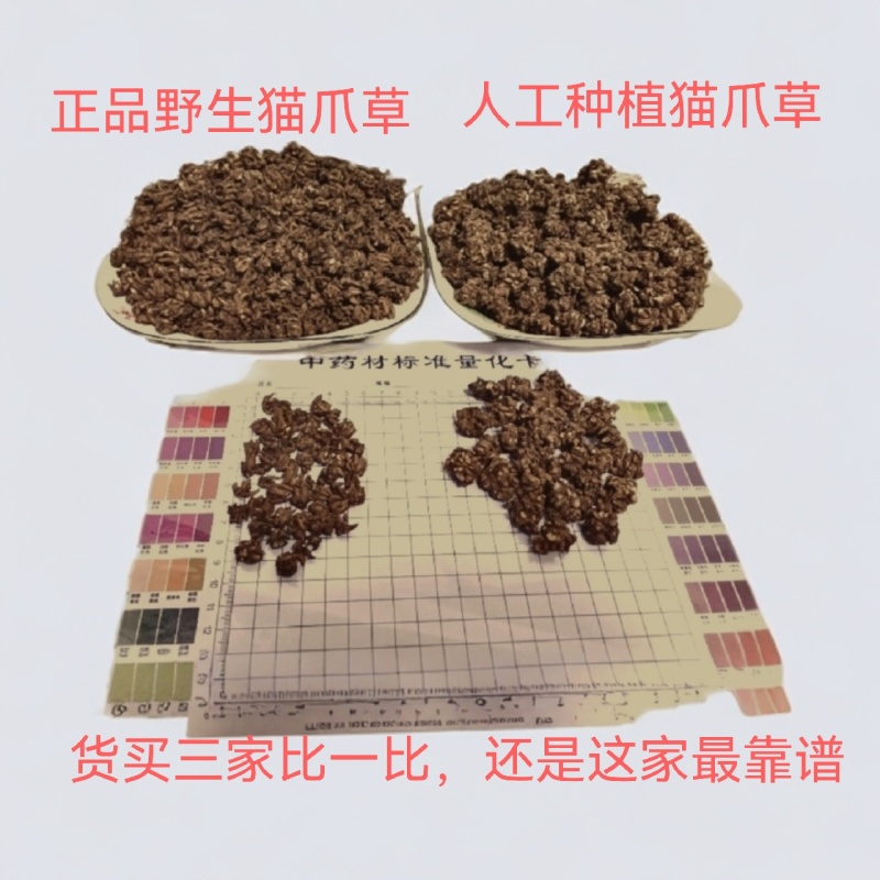 野生猫爪草，精细挑选，欢迎选购