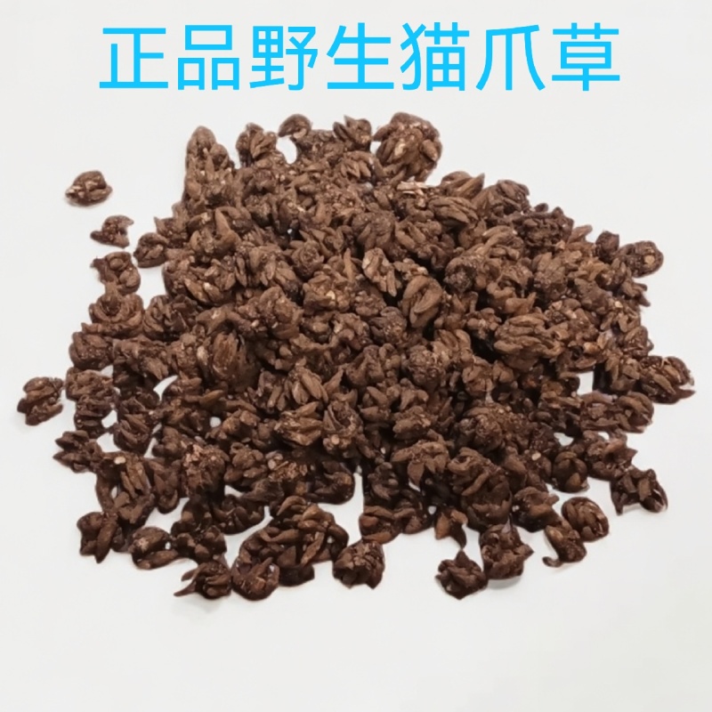 野生猫爪草，精细挑选，欢迎选购