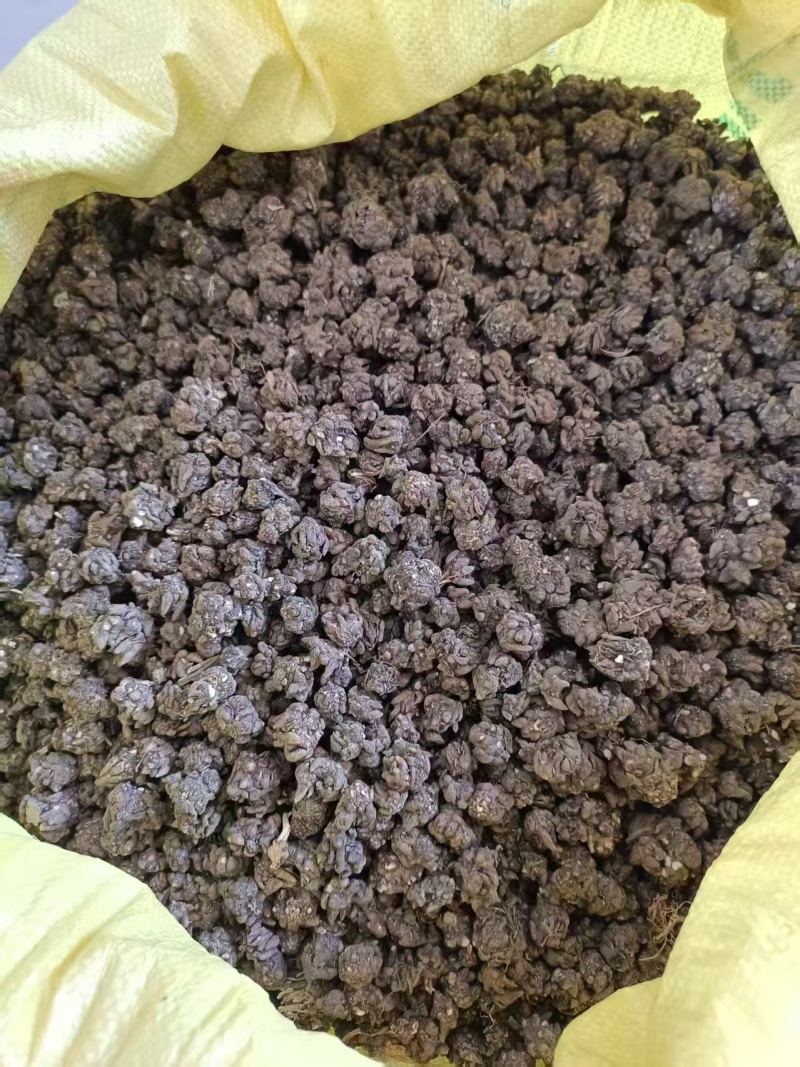 野生猫爪草，精细挑选，欢迎选购