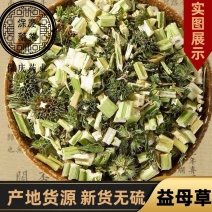 益母草青色新货无硫山东益母草坤草泡脚益母草