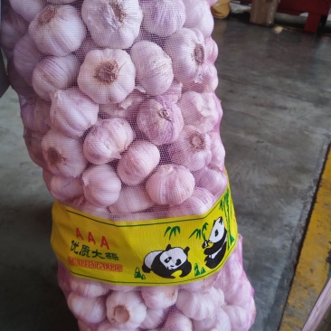 重庆大蒜批发电商一件代发