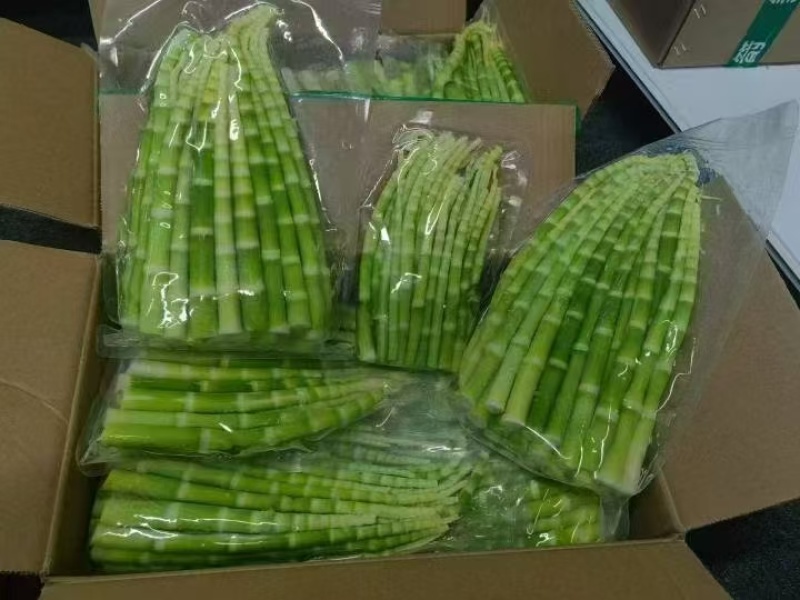 高山绿笋，一手货源，可供应商超，餐饮，电商