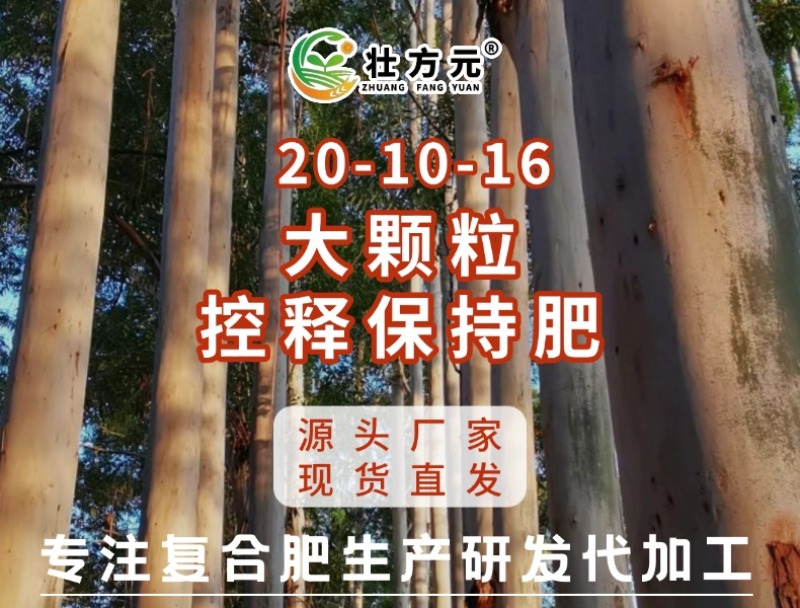 广西桉树大颗粒控释肥20-10-16省工时保水肥46%