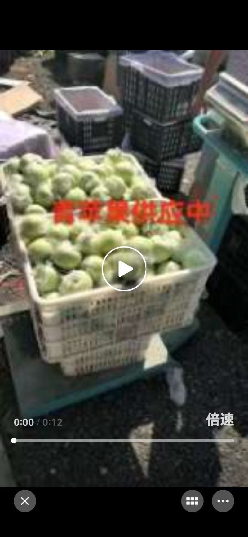 美八红露华硕苹果供应中，规格齐全，实力代办价格可谈