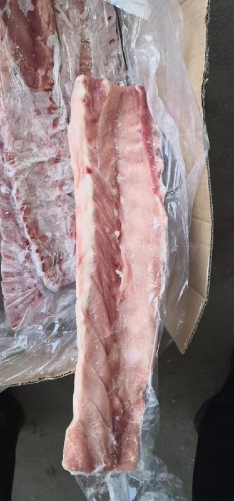 多肉龙骨厂家直销量大从优