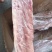 多肉龙骨厂家直销量大从优