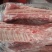 多肉龙骨厂家直销量大从优
