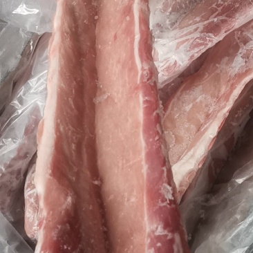 多肉龙骨厂家直销量大从优