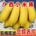 广西小米蕉一件代发当季新鲜水果酸甜整箱苹果蕉