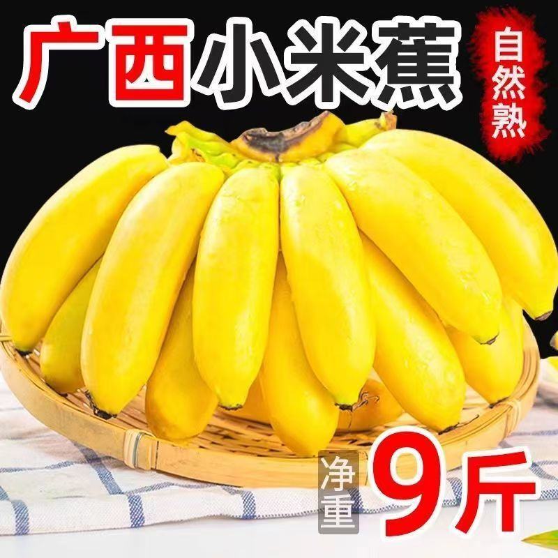 广西小米蕉一件代发当季新鲜水果酸甜整箱苹果蕉