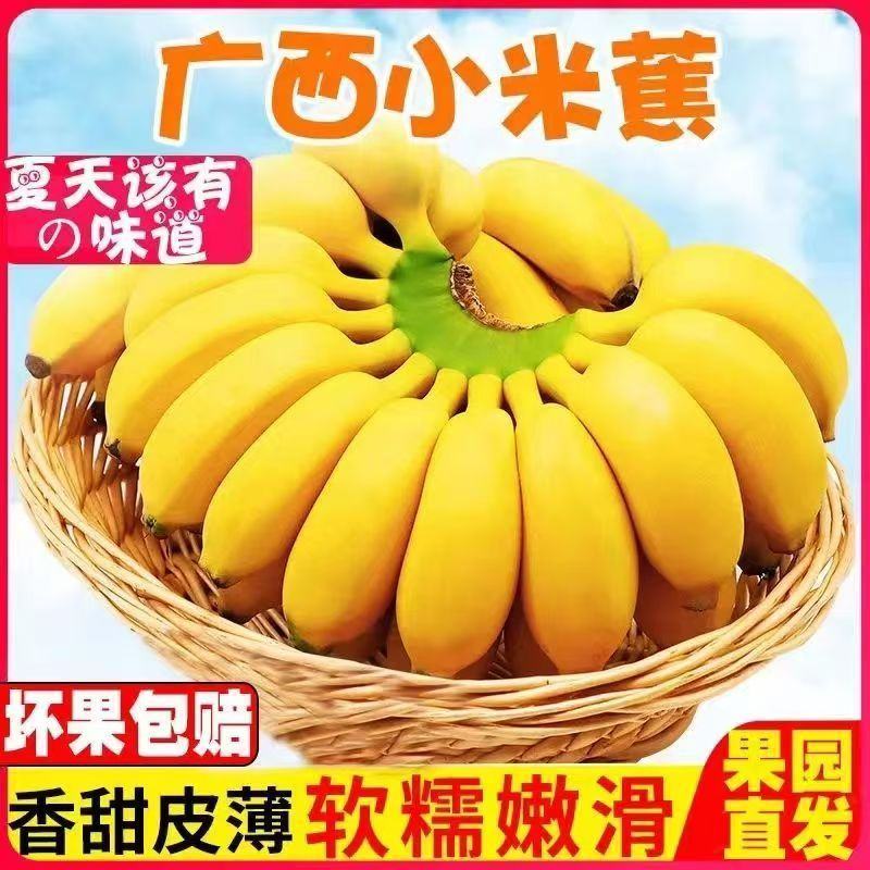 广西小米蕉一件代发当季新鲜水果酸甜整箱苹果蕉
