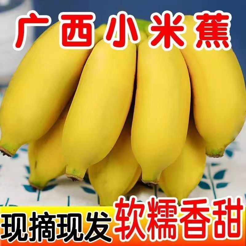 广西小米蕉一件代发当季新鲜水果酸甜整箱苹果蕉