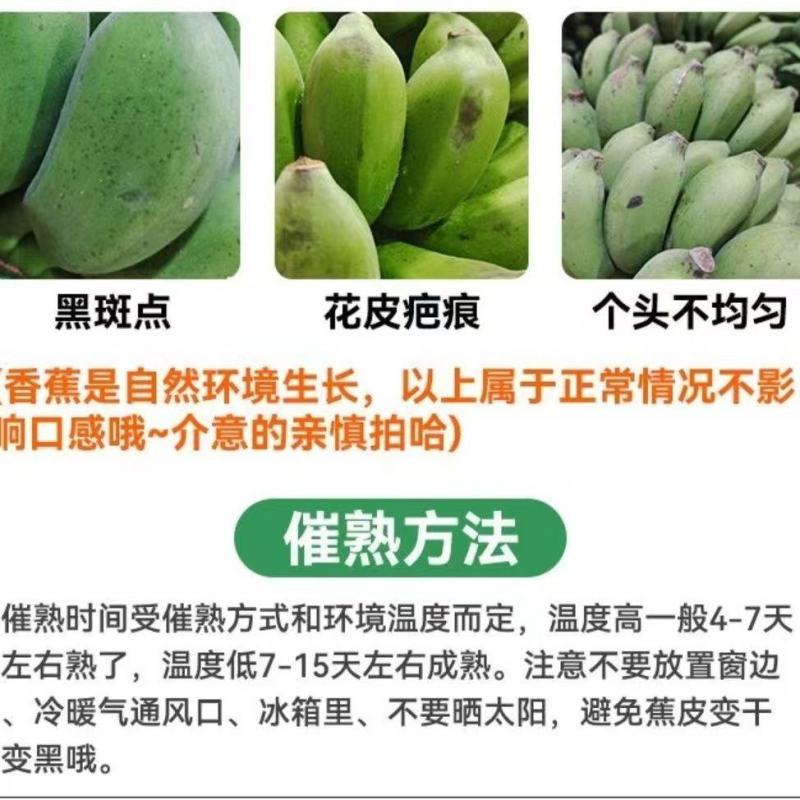 广西小米蕉一件代发当季新鲜水果酸甜整箱苹果蕉