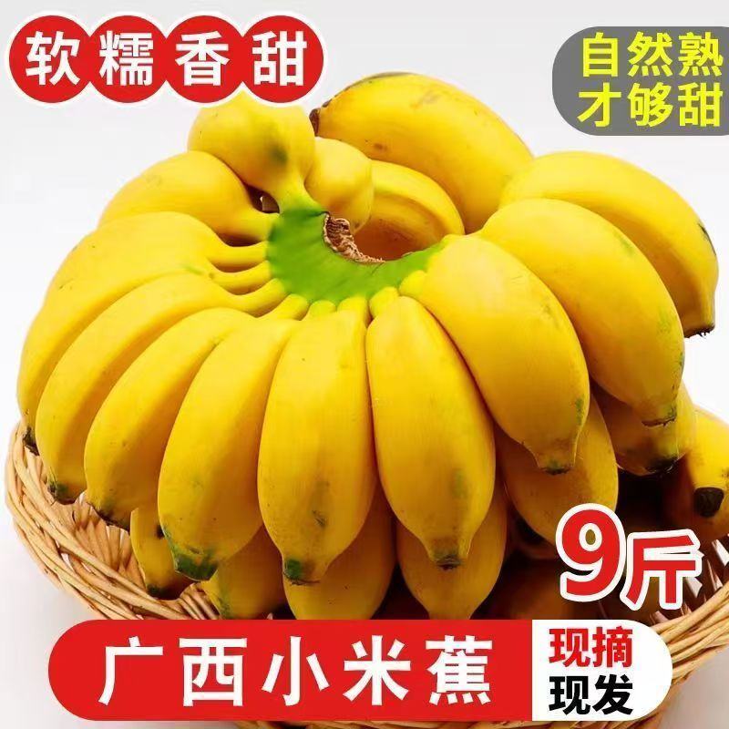 广西小米蕉一件代发当季新鲜水果酸甜整箱苹果蕉