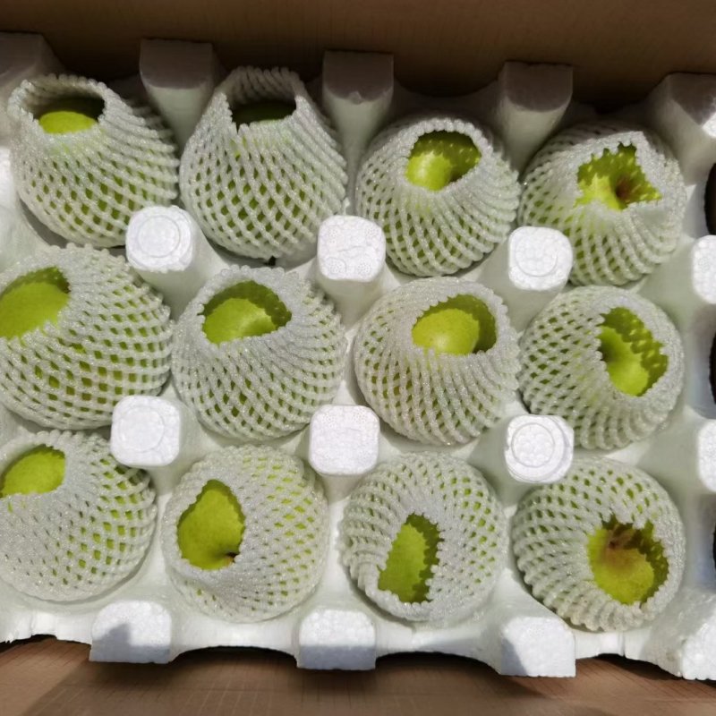 青皮梨翠玉梨酥脆一号翠冠梨套袋不套袋都有产地直采大量有货