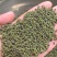 广西中花吴茱萸价格