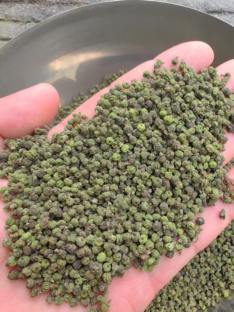 广西中花吴茱萸价格