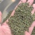 广西中花吴茱萸价格