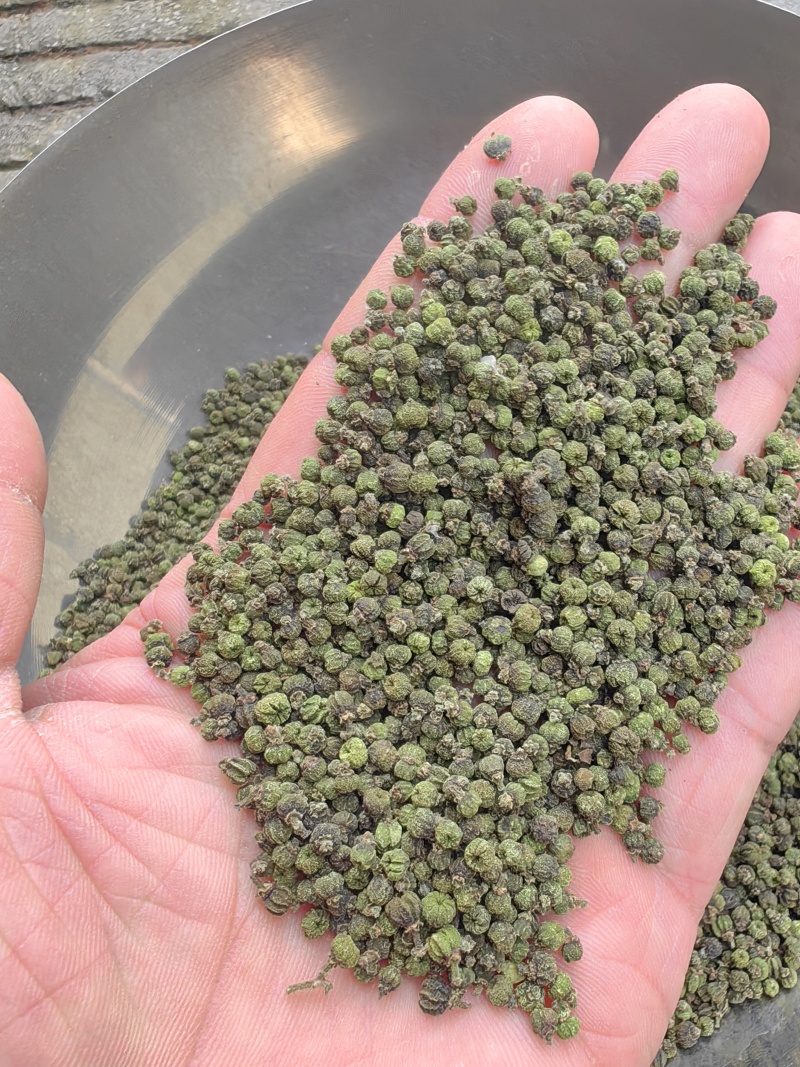 广西中花吴茱萸价格