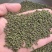 广西中花吴茱萸价格