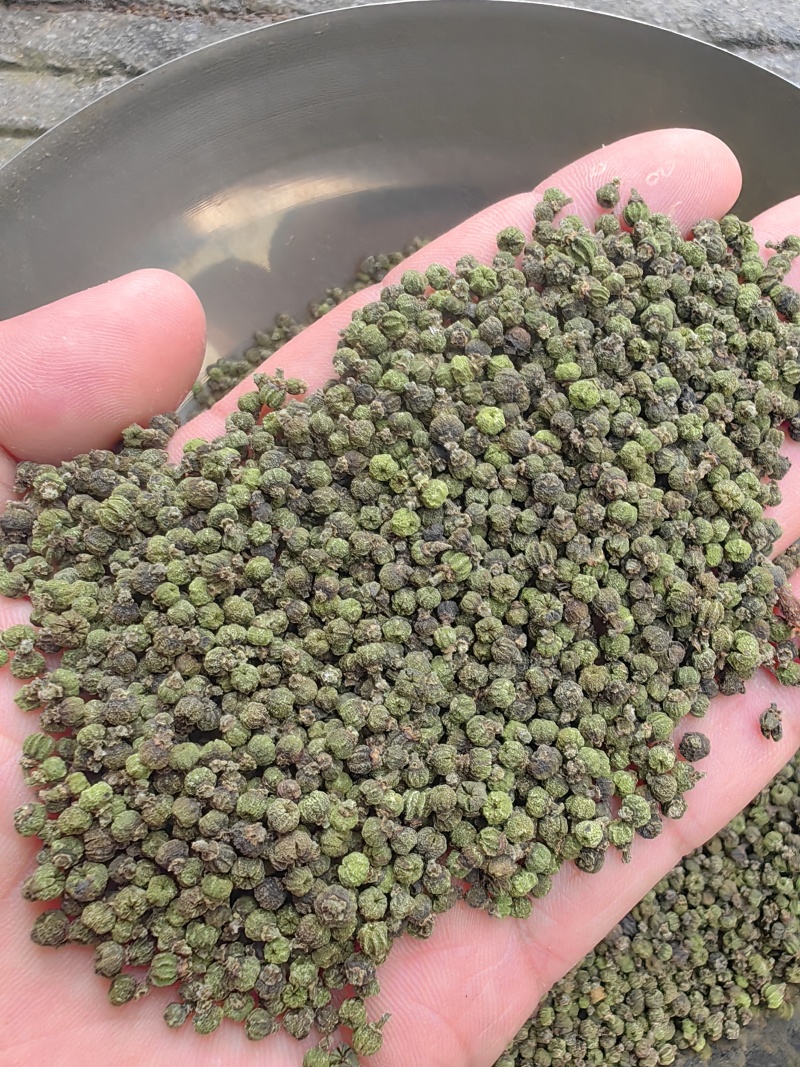 广西中花吴茱萸价格