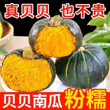 板栗南瓜，贝贝南瓜，银栗，一手货源，可供团购市场电商供