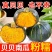 板栗南瓜，贝贝南瓜，银栗，一手货源，可供团购市场电商供
