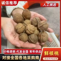 四川鲜核桃坚果核桃精品大果核桃大量供应一件代发
