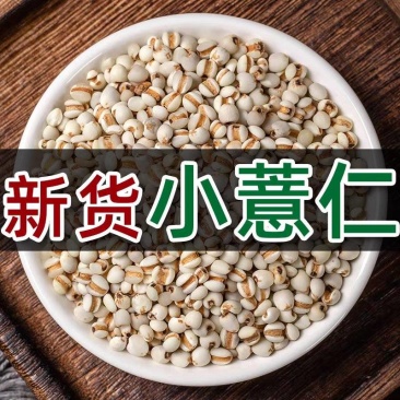 直供贵州小薏米新货500g薏米仁薏苡仁五谷杂粮现货