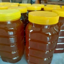 野生蜂蜜大量供应江西赣州产地直发，对接全国客户