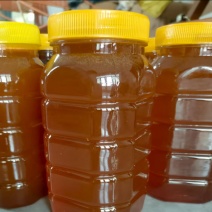 江西赣州大量供应土蜂蜜货源充足，量大从优，欢迎咨询