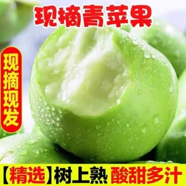 正宗青苹果酸脆多汁电商一件代发