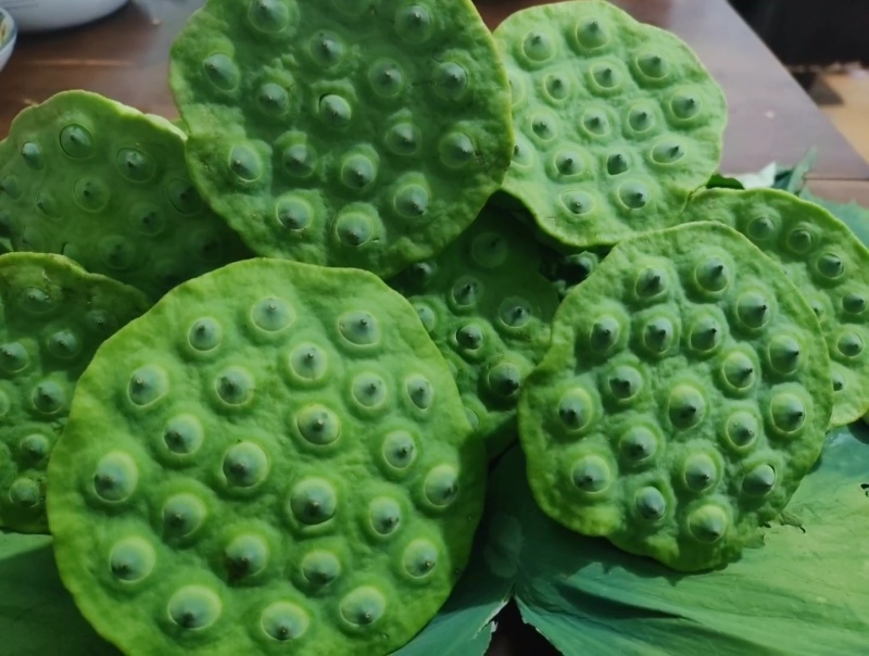 新鲜莲蓬