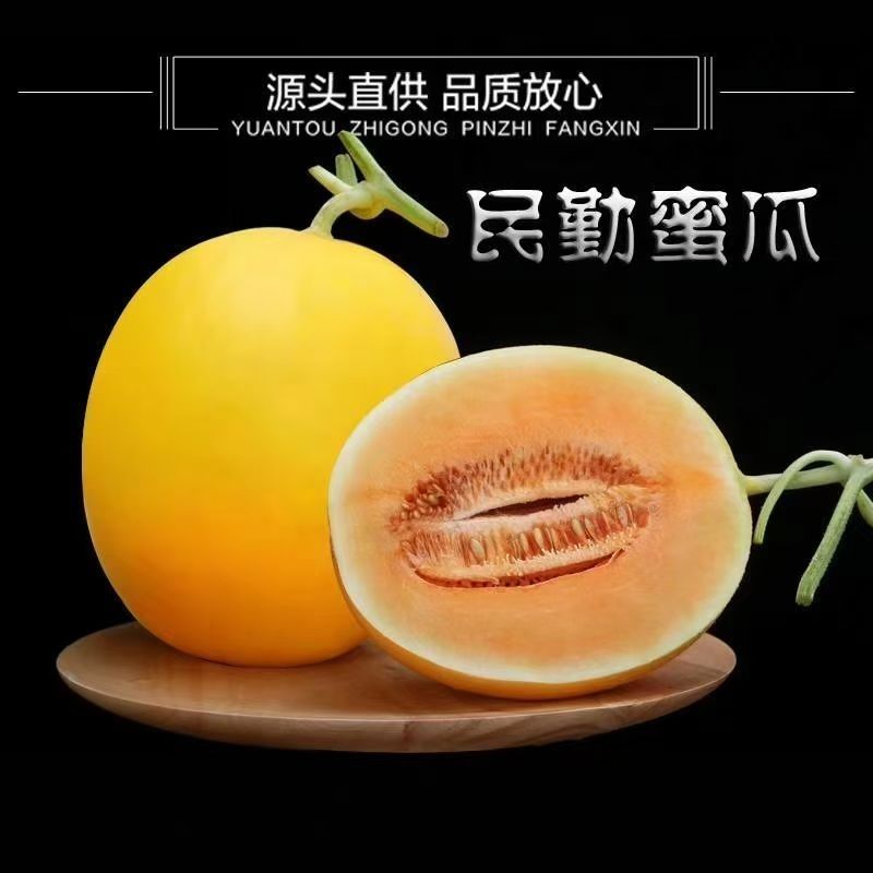 甘肃民勤蜜瓜一件代发全网低价直播电商