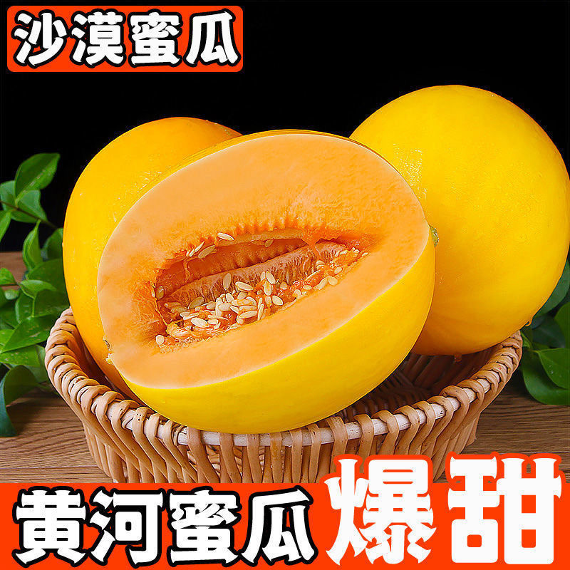 甘肃民勤蜜瓜一件代发全网低价直播电商