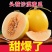 甘肃民勤蜜瓜一件代发对接电商直播低价优势