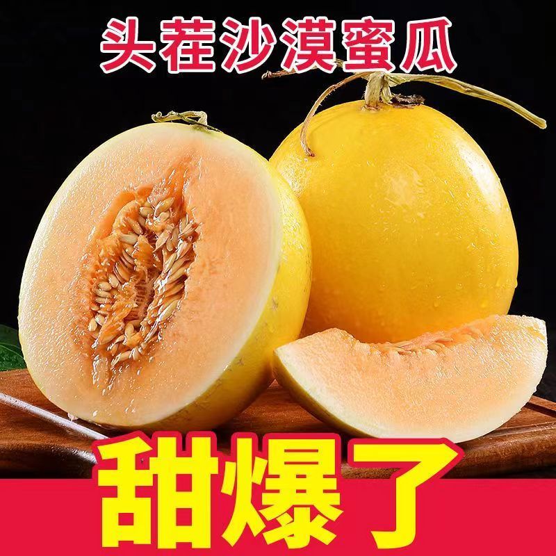 甘肃民勤蜜瓜一件代发对接电商直播低价优势