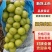 夏邑精品阳光玫瑰葡萄和夏黑一手货源大量上市产地直发