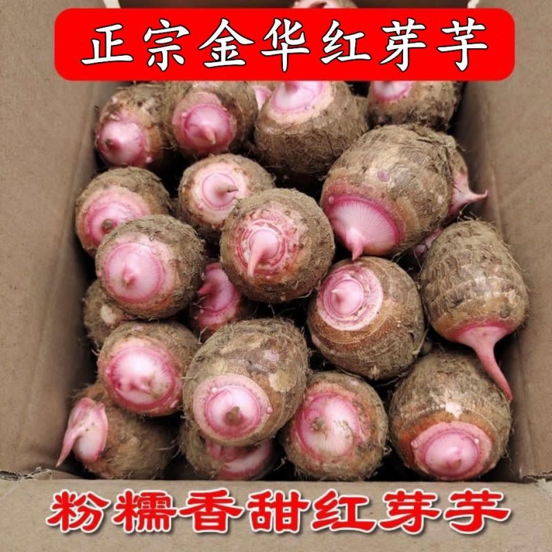 浙江金华新鲜现挖红芽芋头仔红嘴小毛芋头香芋艿软粘粉糯自种蔬菜
