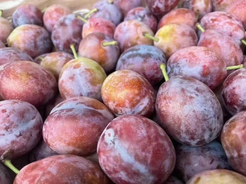 陕西大荔西梅西梅一件代发对接各大电商快手抖音视频号拼多多