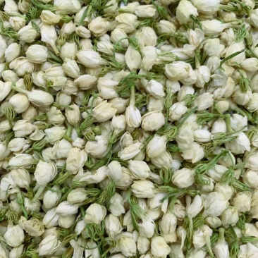 茉莉花干茉莉花雷2025年茉莉花苞