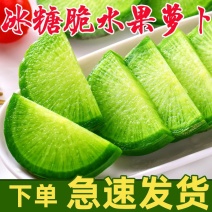 潍坊水果萝卜生吃甜脆型新鲜正宗山东青冰淇淋凤梨萝卜农科院基地