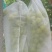 精品阳光玫瑰大量有货量大从优保质保量欢迎咨询
