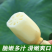 陕西莲藕一手货源产地直发货源充足价格优惠欢迎致