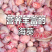 自家渔船，大海打捞海葵，原产地加工出售，