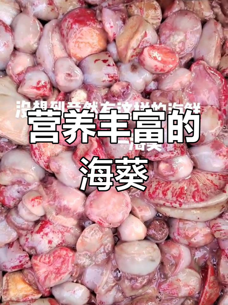 自家渔船，大海打捞海葵，原产地加工出售，