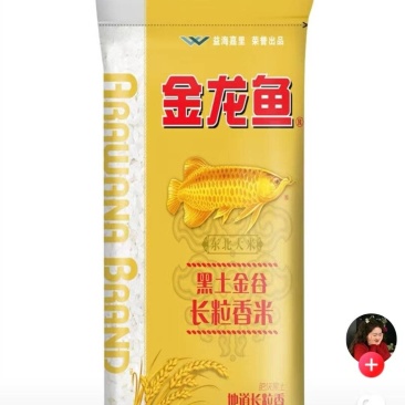 金龙鱼大米