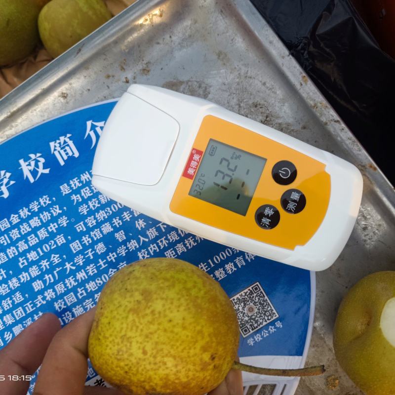 金溪的光果，套袋子的都有