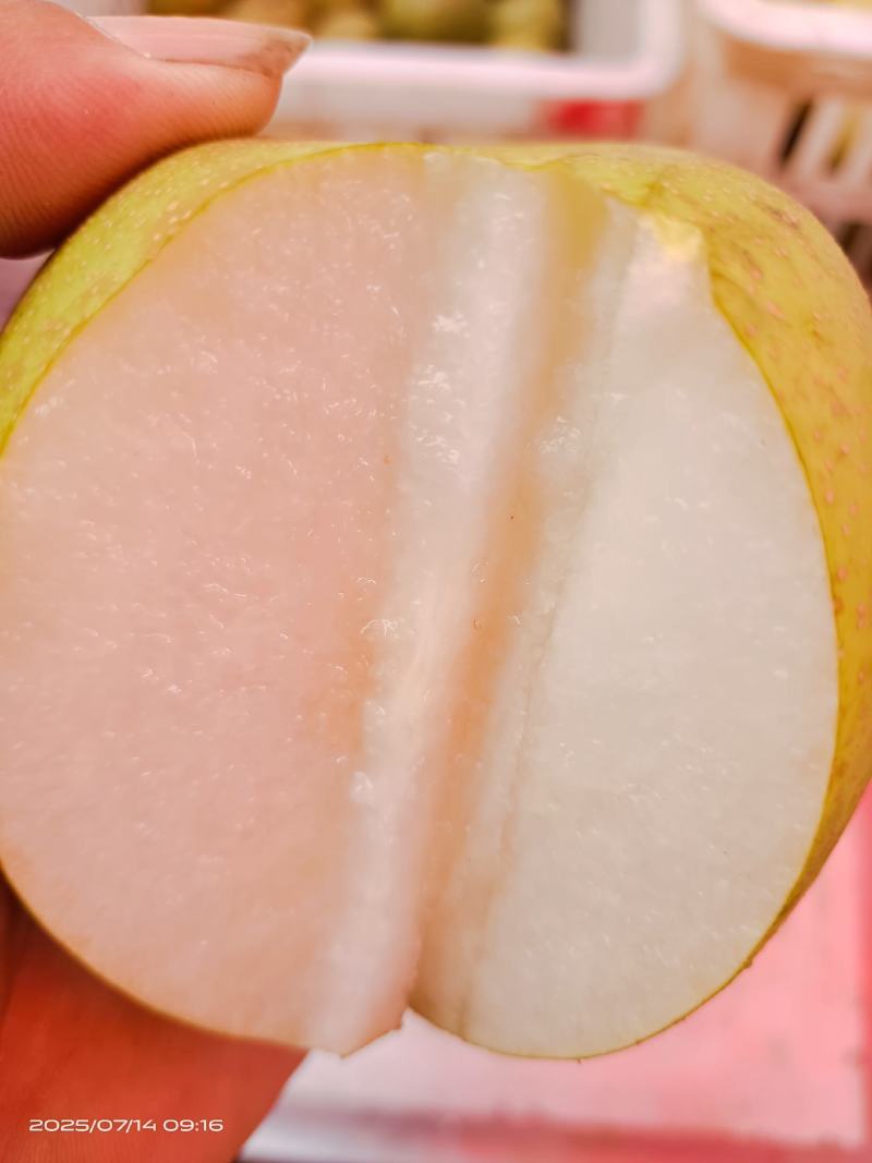 金溪的光果，套袋子的都有
